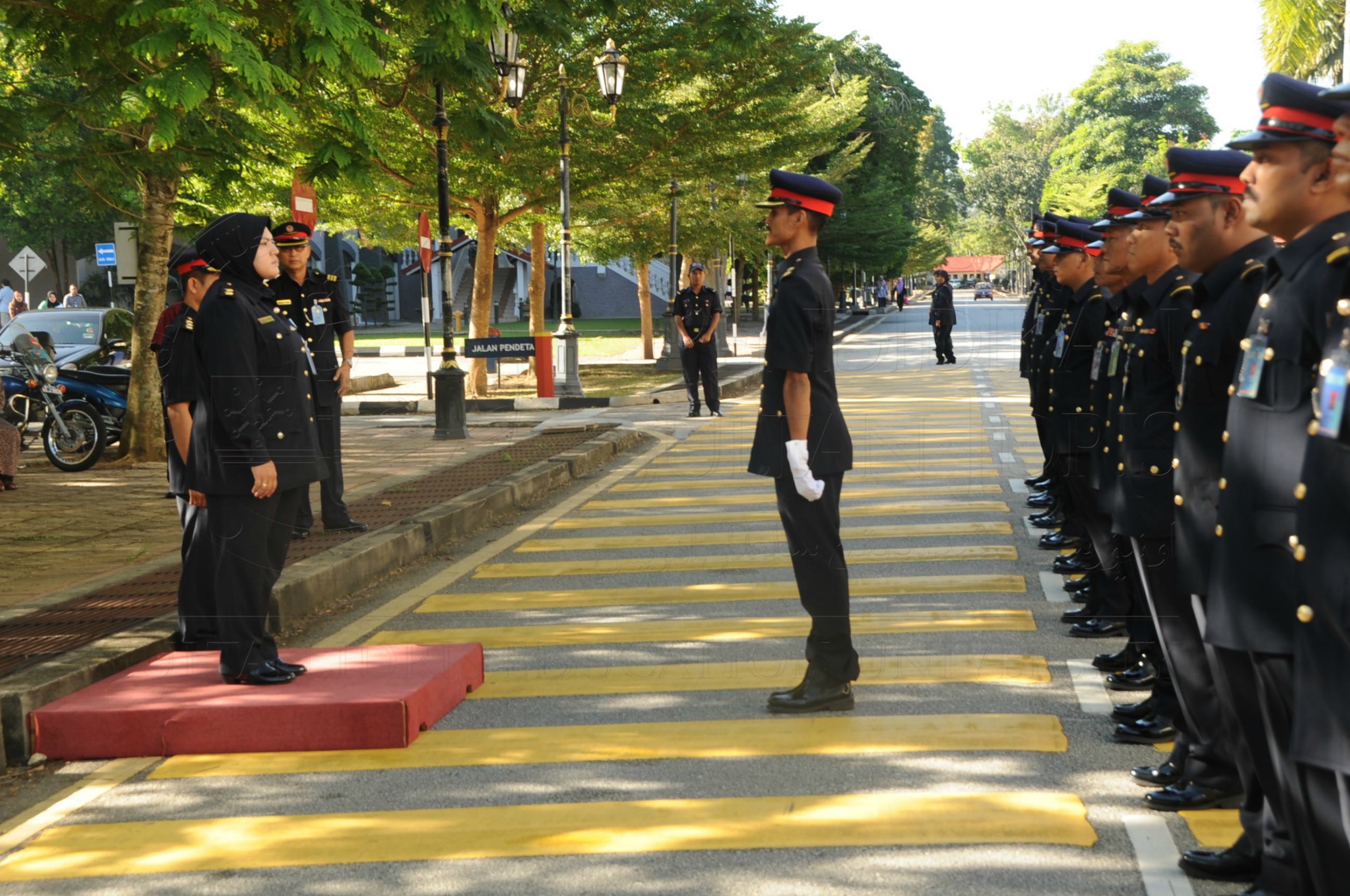 PRO 16 6 AMANAT VCHAS 8386